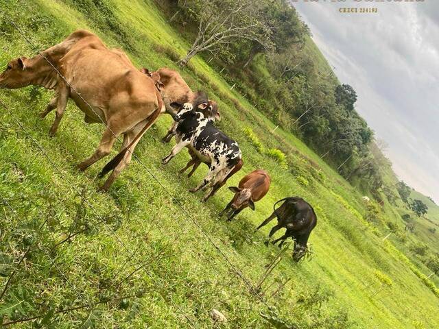 Chácara para Venda em Jacareí - 2